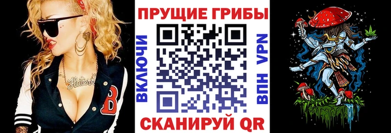 гидра ссылка  Суздаль  Галлюциногенные грибы Magic Shrooms 