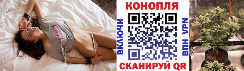 наркота  Суздаль  Марихуана AK-47 
